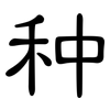 种: clerical script 种: clerical script
