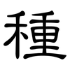 種: clerical script 種: clerical script