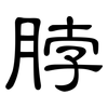 脖: Kanzleischrift