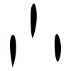 小: oracle bone script 小: oracle bone script