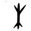 木: oracle bone script 木: oracle bone script