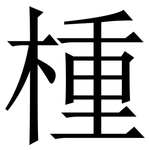 㮔: Serifenschrift (Songti/Mingti)