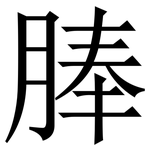 䏾: Serifenschrift (Songti/Mingti)