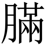 䐽: Serifenschrift (Songti/Mingti)