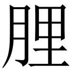 䤚: Serifenschrift (Songti/Mingti)