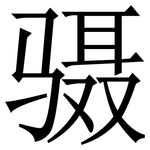 䯅: Serifenschrift (Songti/Mingti)