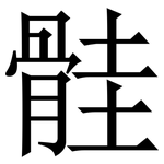 䯓: Serifenschrift (Songti/Mingti)