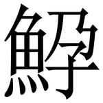 䱆: Serifenschrift (Songti/Mingti)
