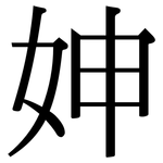 妽: Serifenschrift (Songti/Mingti)