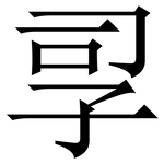 孠: Serifenschrift (Songti/Mingti)