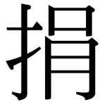 捐: Serifenschrift (Songti/Mingti)
