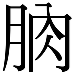 朒: Serifenschrift (Songti/Mingti)