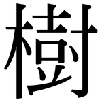 樹: Serifenschrift (Songti/Mingti)