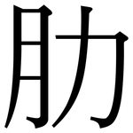 肋: Serifenschrift (Songti/Mingti)
