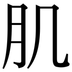 肌: Serifenschrift (Songti/Mingti)