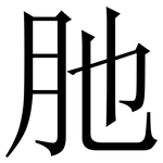 肔: Serifenschrift (Songti/Mingti)