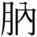 肭: Serifenschrift (Songti/Mingti)