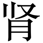 肾: Serifenschrift (Songti/Mingti) 肾: Serifenschrift (Songti/Mingti)