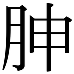 胂: Serifenschrift (Songti/Mingti)