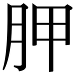 胛: Serifenschrift (Songti/Mingti)