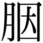 胭: Serifenschrift (Songti/Mingti)
