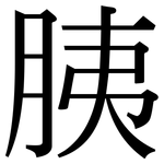 胰: Serifenschrift (Songti/Mingti)