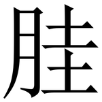 胿: Serifenschrift (Songti/Mingti)