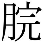脘: Serifenschrift (Songti/Mingti)