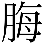 脢: Serifenschrift (Songti/Mingti)