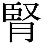 腎: Serifenschrift (Songti/Mingti)