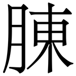 腖: Serifenschrift (Songti/Mingti)