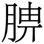 腗: Serifenschrift (Songti/Mingti)