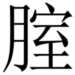 腟: Serifenschrift (Songti/Mingti)