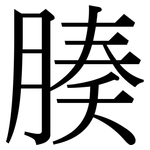 腠: Serifenschrift (Songti/Mingti)