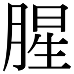 腥: Serifenschrift (Songti/Mingti)