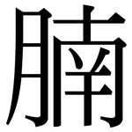 腩: Serifenschrift (Songti/Mingti)