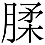 腬: Serifenschrift (Songti/Mingti)