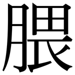 腲: Serifenschrift (Songti/Mingti)