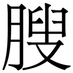 膄: Serifenschrift (Songti/Mingti)