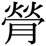 膋: Serifenschrift (Songti/Mingti)