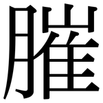 膗: Serifenschrift (Songti/Mingti)