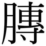 膞: Serifenschrift (Songti/Mingti)