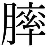 膟: Serifenschrift (Songti/Mingti)