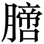 膪: Serifenschrift (Songti/Mingti)