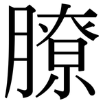 膫: Serifenschrift (Songti/Mingti)