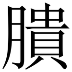 膭: Serifenschrift (Songti/Mingti)
