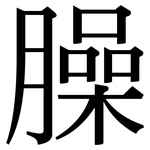 臊: Serifenschrift (Songti/Mingti)