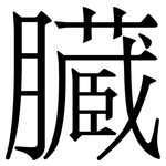 臓: Serifenschrift (Songti/Mingti)