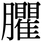 臞: Serifenschrift (Songti/Mingti)