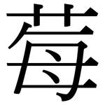 莓: Serifenschrift (Songti/Mingti)